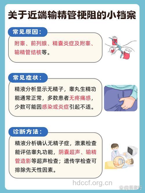 男性精道梗阻的三大主要原因