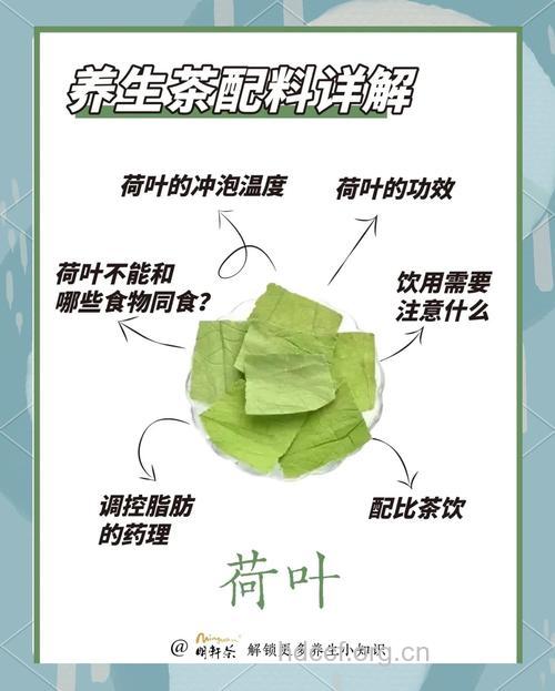 荷叶泡水喝的功效