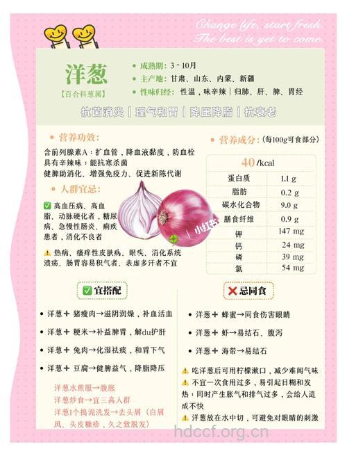 洋葱对预防富贵病有益处