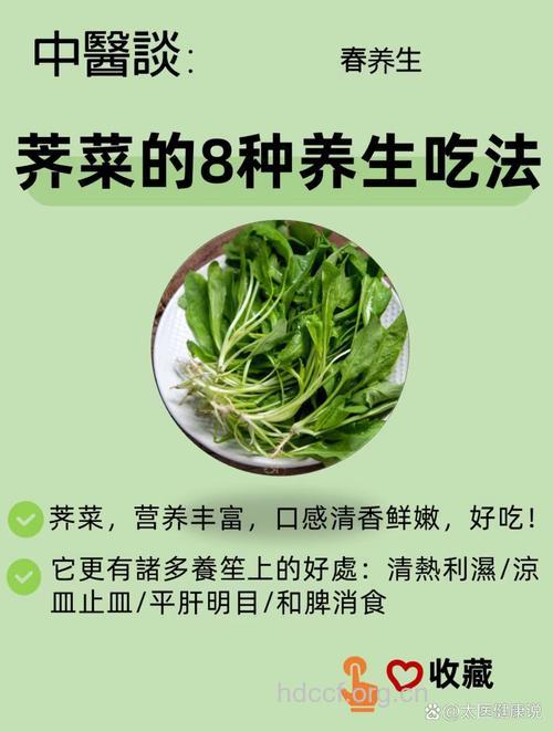 春季吃野菜 美味又养生