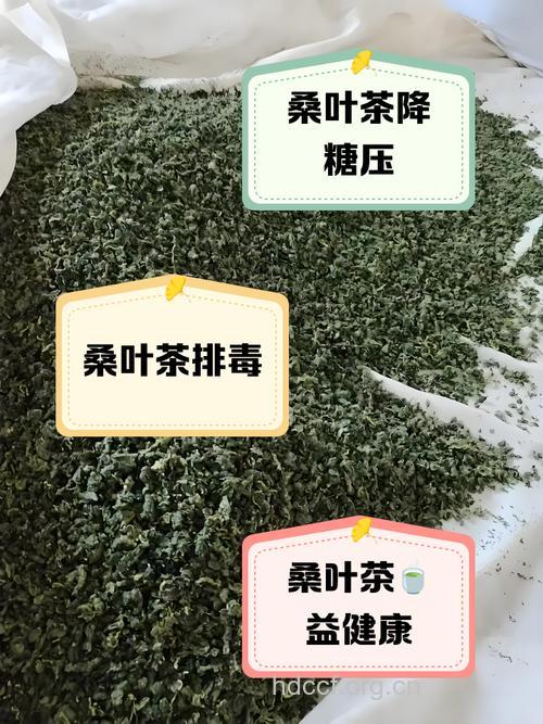 桑叶泡水喝的功效