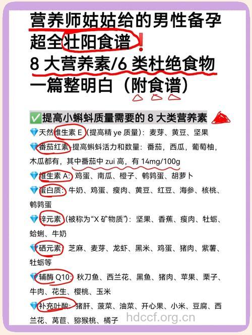 常吃这些食物可以提高生育能力