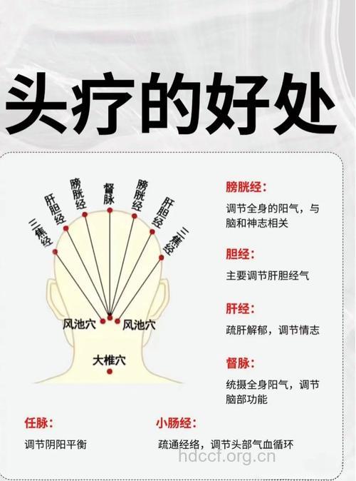经常按摩头部 健康养生一大步