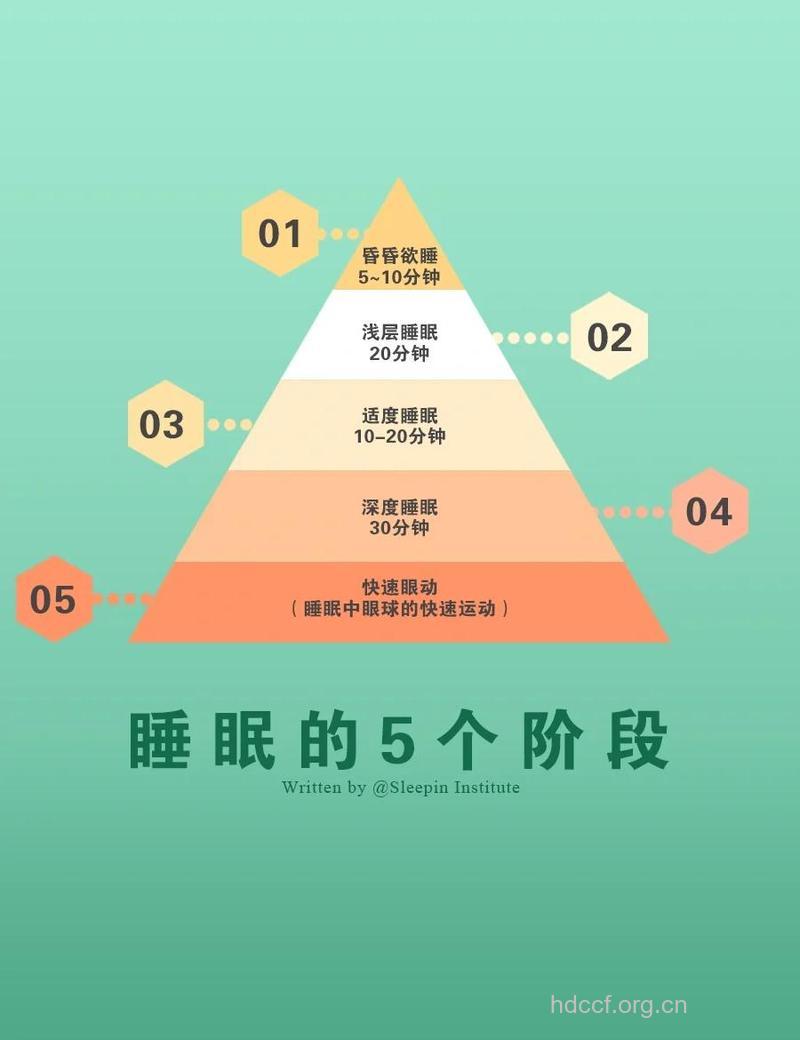 睡眠的什么阶段易做梦?