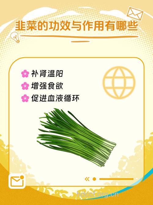 韭菜能否壮阳 充其量就是安慰剂