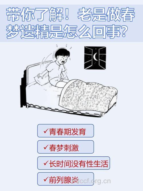 高一男生:总是做性梦我无耻吗?