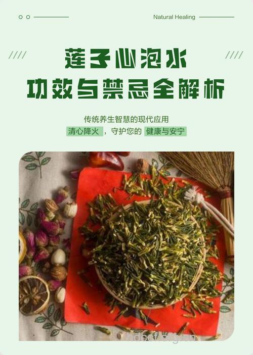 莲子心泡水喝的禁忌