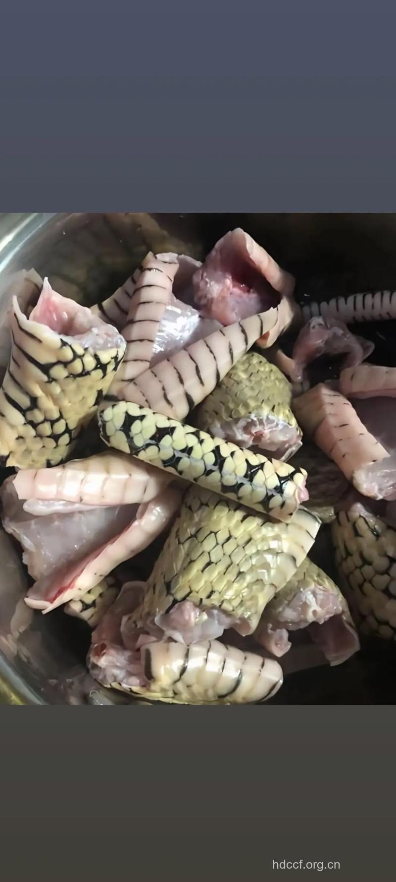 蛇肉煲汤的三种做法