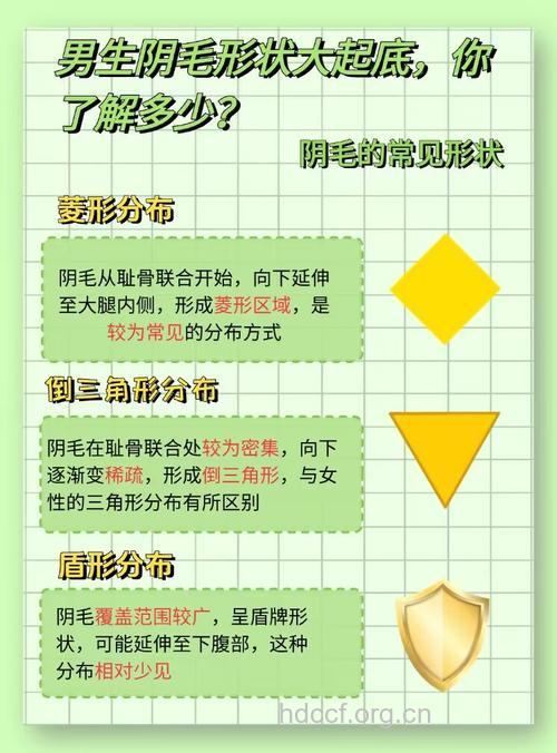 阴毛知识知多少?