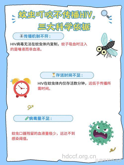 蚊虫传播艾滋?了解艾滋病的10个谣言