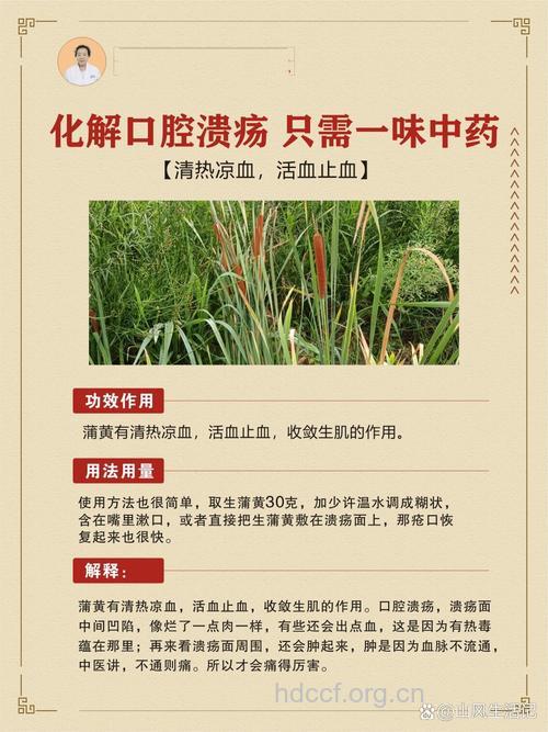 中药治复发性口腔溃疡一则