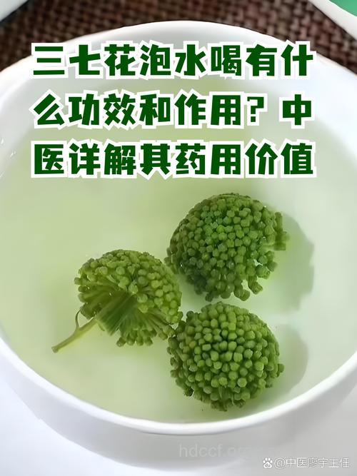 三七花泡水喝的功效