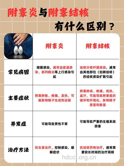 附睾结核导致男性不育的原因