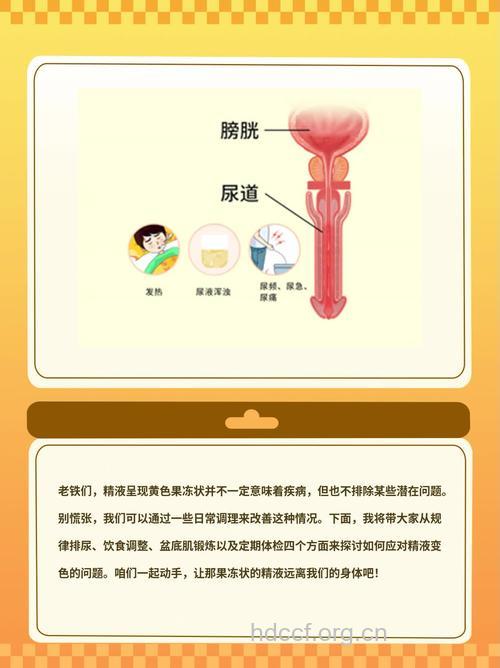 引发男性精液异常的几种病因