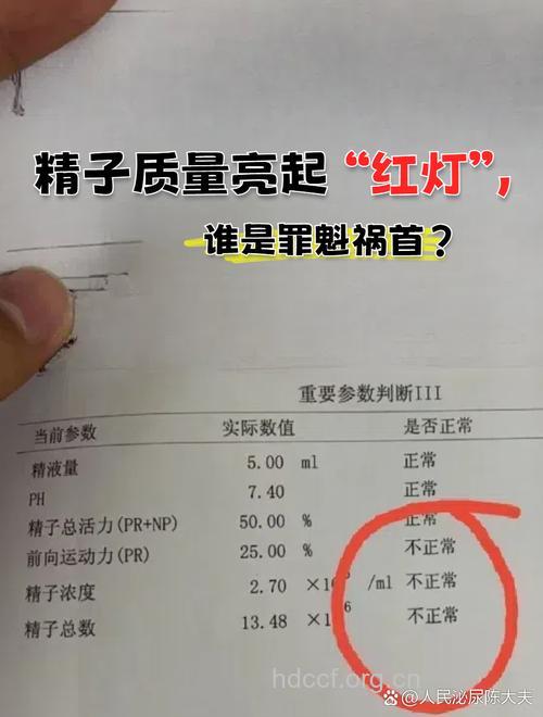 两大因素影响精子质量