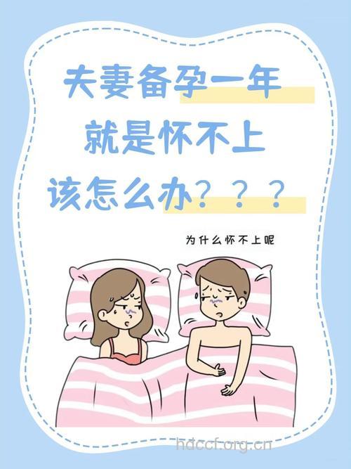 怀孕怀不了 老公的问题占几成