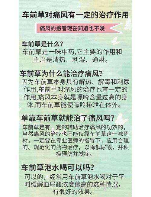 车前草泡水喝有什么功效