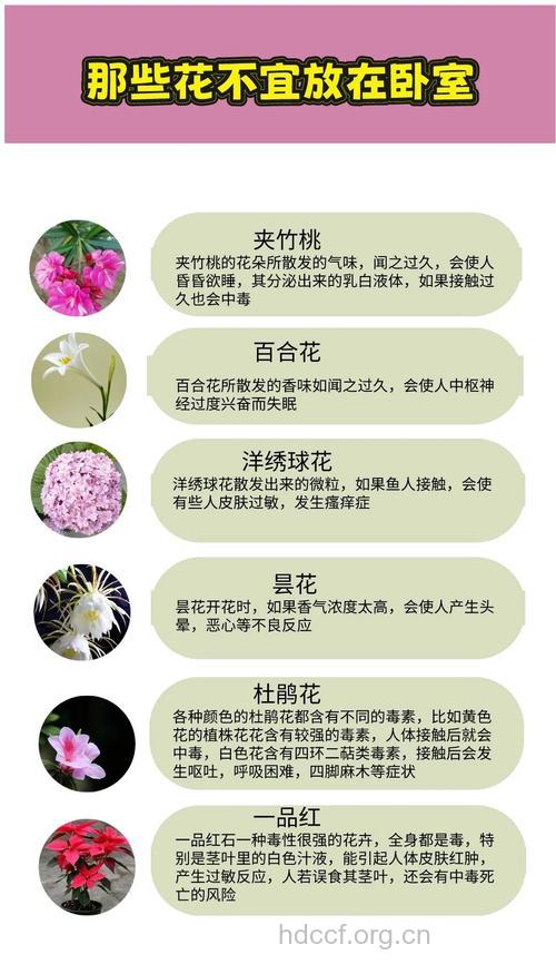 什么花不适宜放在卧室