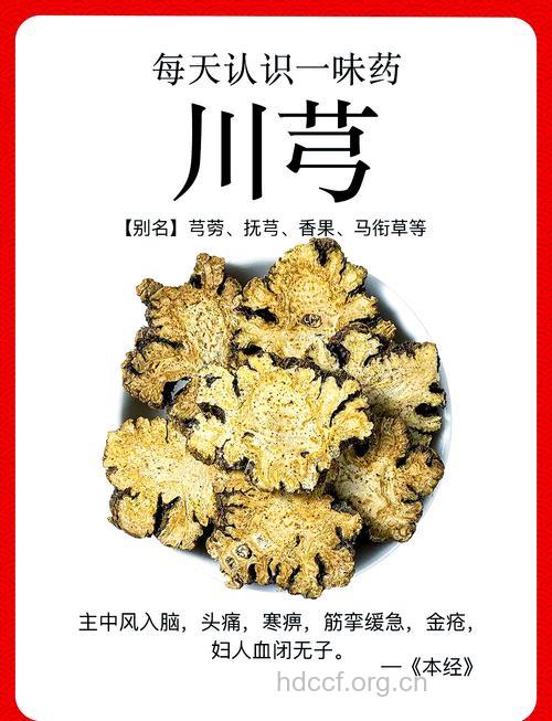 具有活血化瘀功效的十大中药