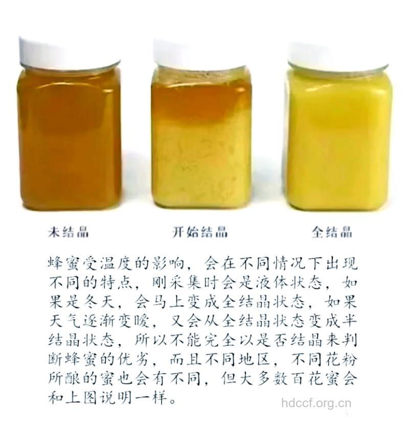 这11种蜂蜜是假的 它们根本不存在