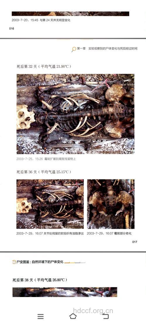 恐怖症病理的分析