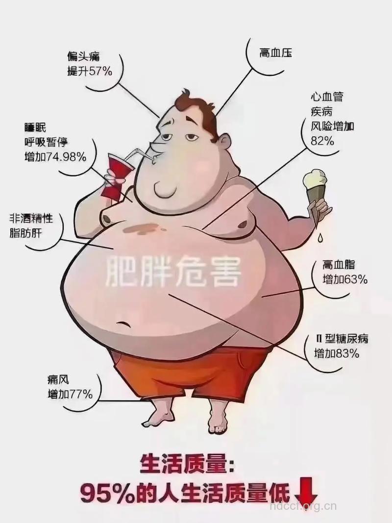 为什么肥胖会导致男性不育
