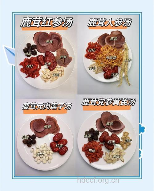 滋补佳品 鹿茸片怎么吃