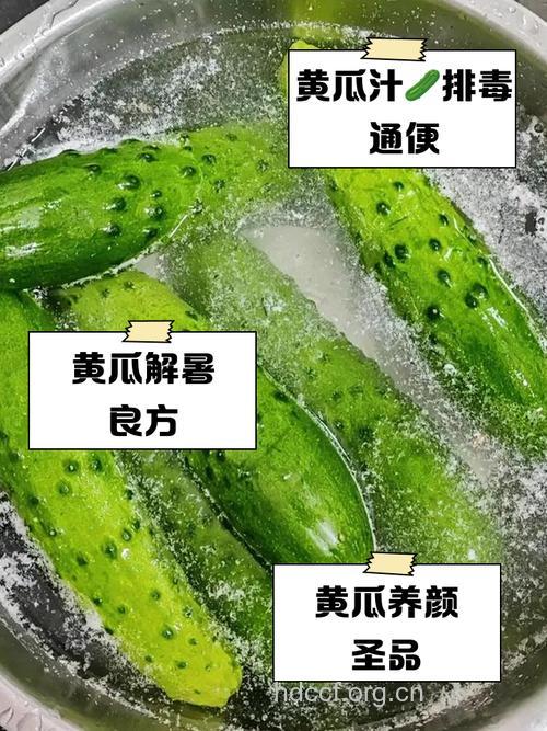 黄瓜做法 清热解暑预防口腔溃疡