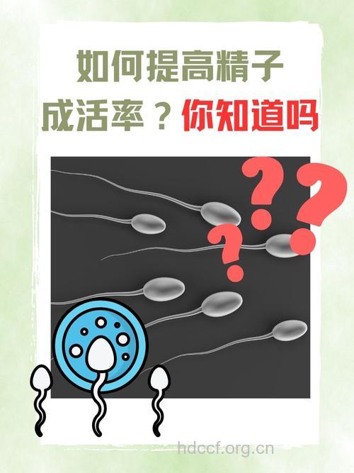 影响男人精子成活率的因素有哪些