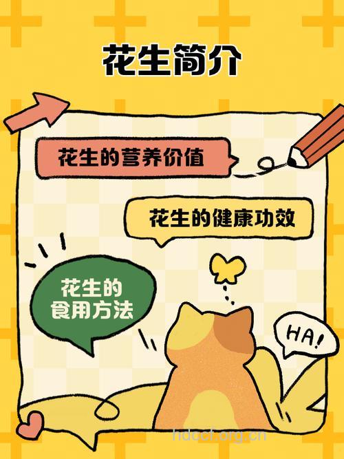 小小花生带给你不知道的价值