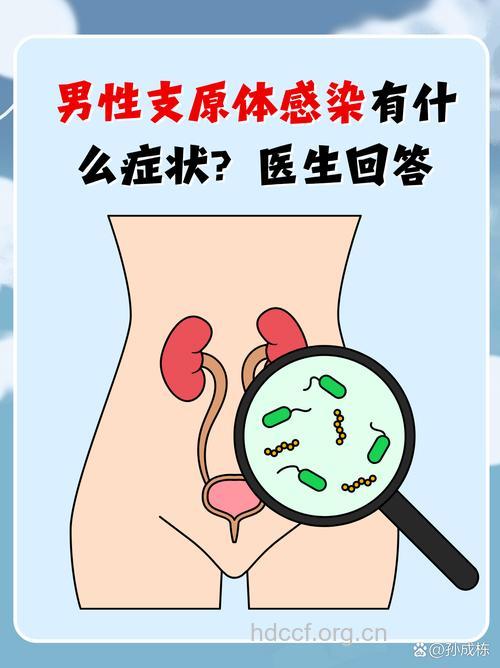 支原体感染引起的男人不育症