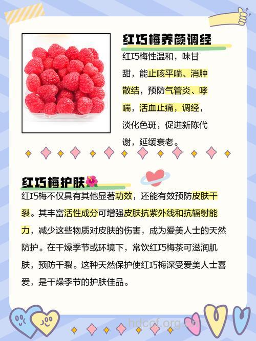 红巧梅泡水喝有什么功效