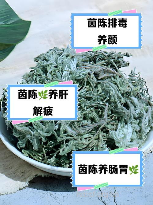 茵陈泡水喝有什么功效与禁忌