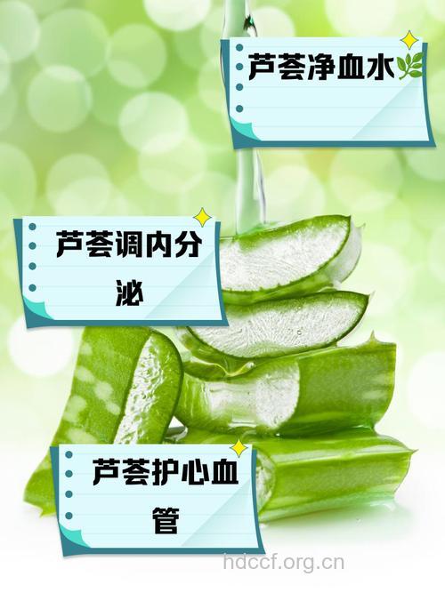 芦荟泡水喝有什么功效与禁忌
