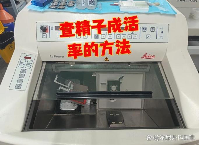 怎么检验精子成活率方法