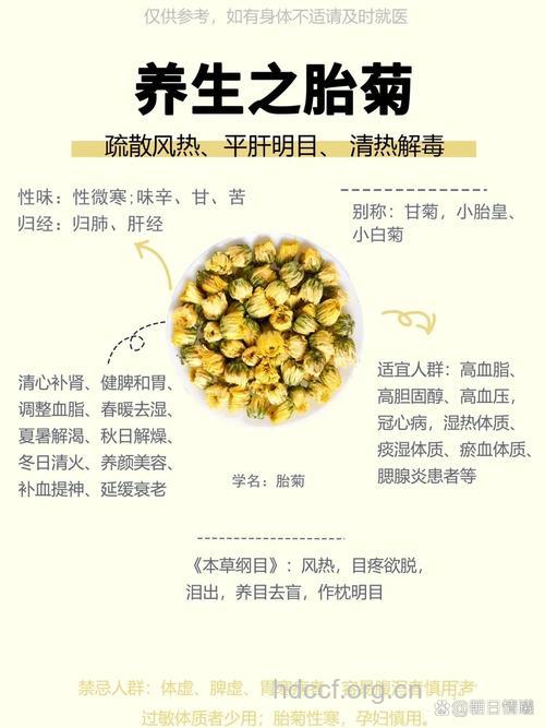 胎菊泡水喝有什么功效