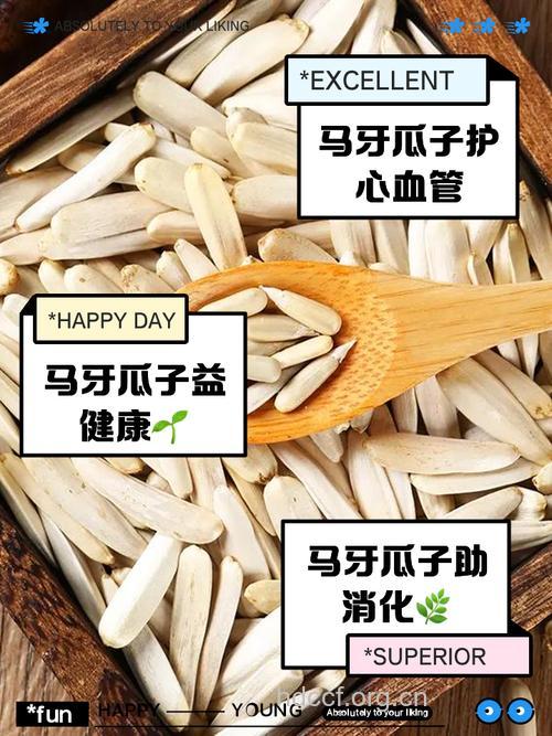 怎么吃瓜子类食物预防不育