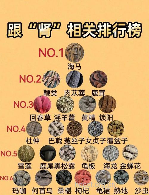 补肾中药 盘点15种补肾中药