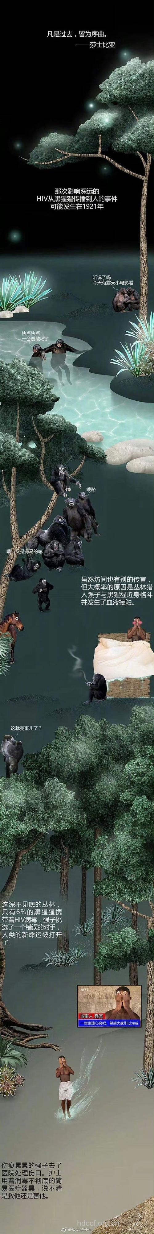 艾滋病毒的祖先已存在8500万年的历史