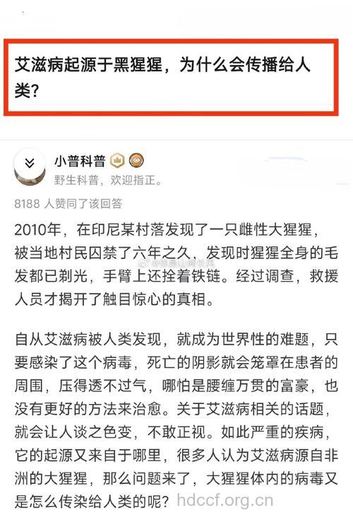 艾滋病毒从哪里起源？