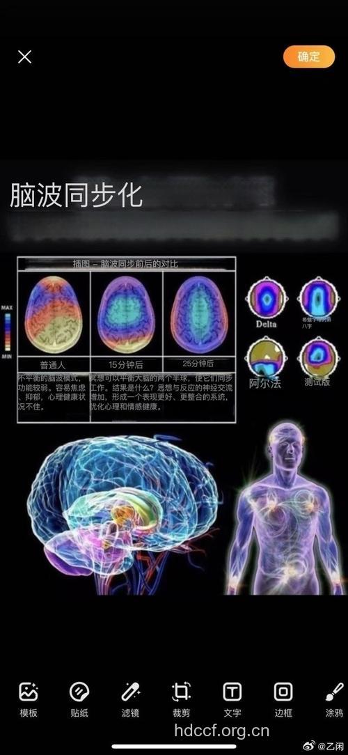 光子技术控制大脑活动或可治焦虑症