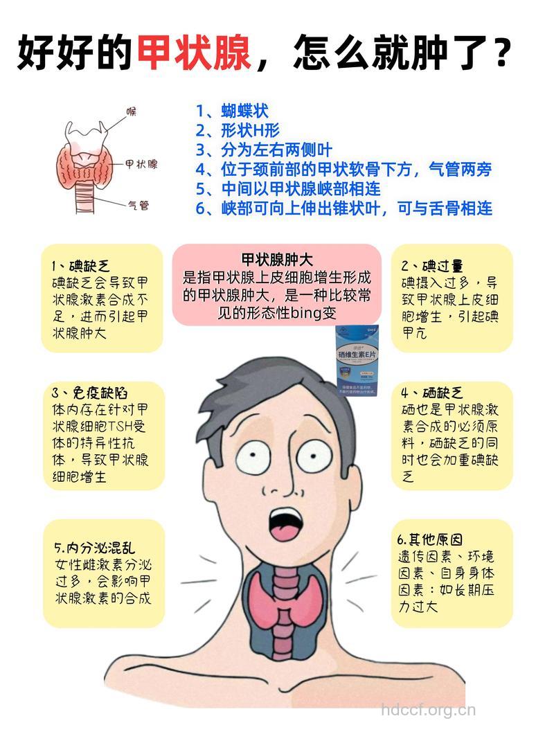 甲状腺疾病会影响生育能力吗？