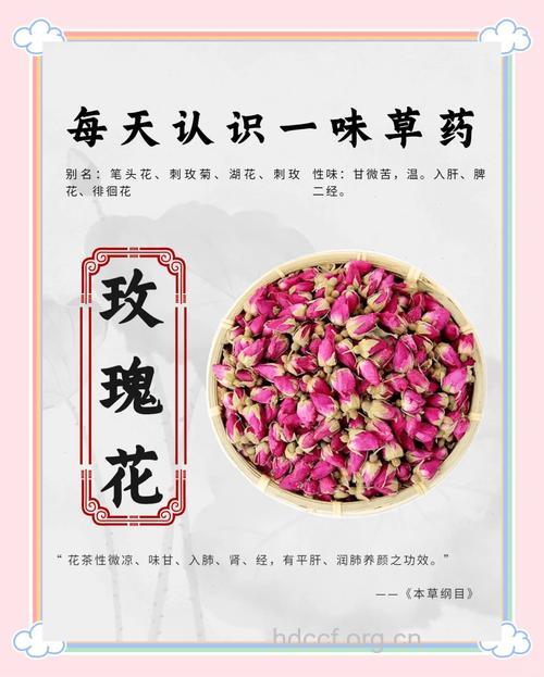 玫瑰花的食疗方及功效