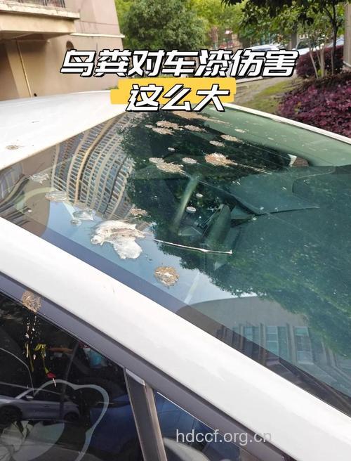 汽车污染导致的男性不育