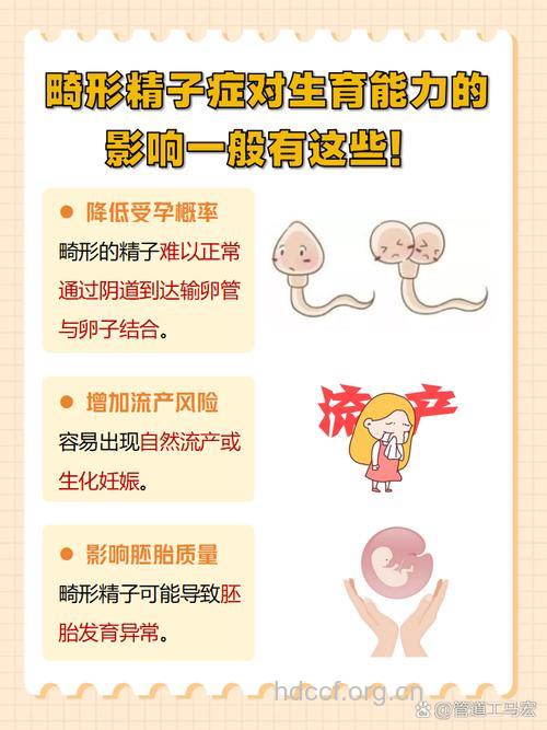 畸形精子症如若怀孕会导致流产