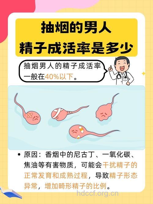 吸烟会杀死精子