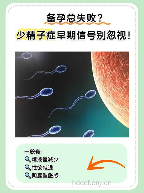 现代人精子数量在减少