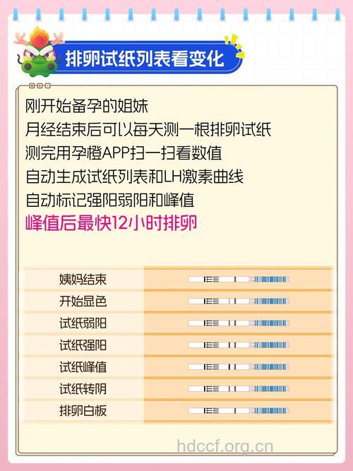 女性排卵期表现及自测方法
