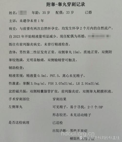 诊断男性不育——睾丸活检检查