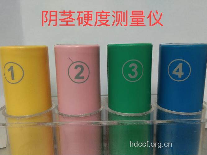 阴茎夜间勃起测定——诊断阳痿